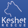 Keshet Rescue